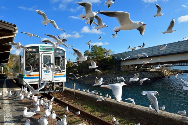 【京都府内発】 富士山眺望グルメ旅~天竜浜名湖鉄道と富士山麓ローカル鉄道『岳南電車』2日間2